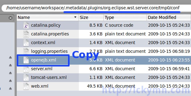 Find the openejb.xml file and copy to the Tomcat configuration folder of the Eclipse workspace.